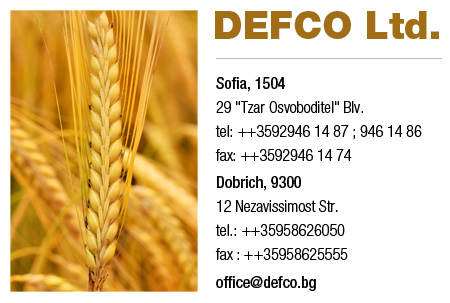 defco ocntact information